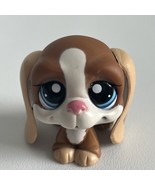 Littlest Pet Shop Exclusive Brown White and Tan BassetHound Dog #1655 Ba... - £11.41 GBP