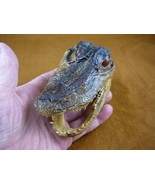 G-Def-287) 4-1/8&quot; Deformed Gator ALLIGATOR HEAD jaw teeth TAXIDERMY weir... - €32,71 EUR