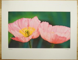 Tom Adams Photography Two Pink Poppies Flowers Oregon Matted Photo Art 11X14 - £19.94 GBP
