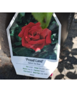 PROUD LAND Red 1 Gal Big Live Bush Plant Hybrid Tea Plants Fine Landscap... - $46.34 CAD