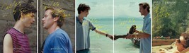 Call Me By Your Name Korean Movie Poster Guadagnino Art Film 14x21 24x36... - £9.48 GBP+
