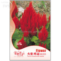 Big Red Beautiful Cockscomb 40 seeds balcony potted bonsai plant flowerf... - $8.98
