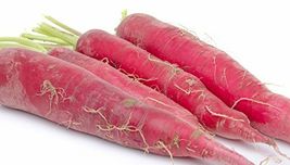 301 Red Arrow Radish Seeds Vegetable Container Mild Sweet Garden Easy - £9.57 GBP