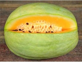 Desert King Watermelon Seeds 25 Seed Pack For Home Garden - £4.44 GBP