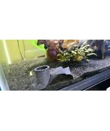 Aquarium Cave Hideout  Natural-Look 3D Printed Fish Shelter  Safe Tank D... - $12.00
