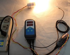 Item image 7