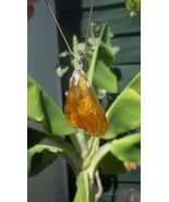 Baltic amber / bernstein pendant with silverplated bel cap - $1,283.71 MXN