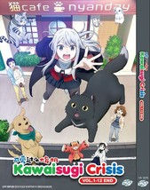 Anime DVD Kawaisugi Crisis Vol 1-12 End  English Subtitle - £15.91 GBP