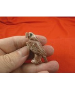 y-bir-ea-21 baby red Eagle soapstone Gemstone gem CARVING PERU CUTE love... - $11.78 CAD