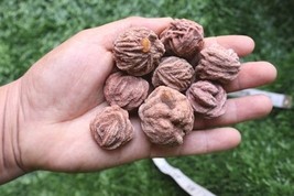 8pcs Desert Rose Natural Raw Gemstone Crystal Selenite Sand Rose  - $18.81