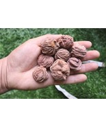 8pcs Desert Rose Natural Raw Gemstone Crystal Selenite Sand Rose  - €16,17 EUR