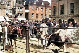 rpc7080 - Cattle Market , St James Sq , Newport , Isle of Wight - print 6x4 - £2.00 GBP