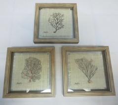 3 Vintage Pen and Ink on Fabric Trees Double Glass Framed signed - £38.65 GBP