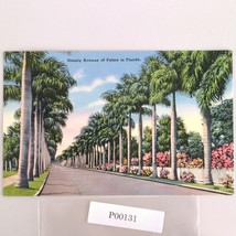 Vintage Florida Linen Postcard Stately Avenue of Palm Trees Miami 1958 T... - $187.41 MXN