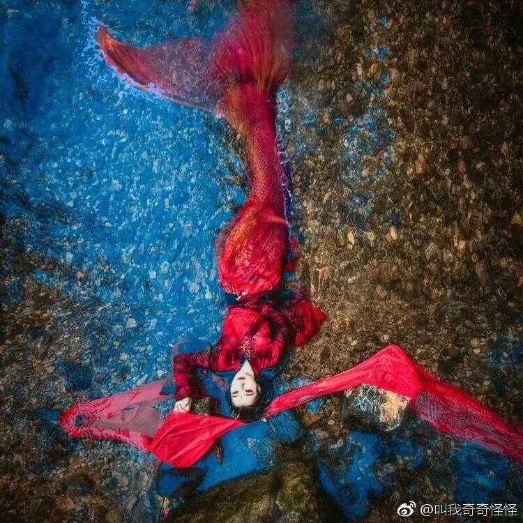 2018 Best Swimmable Mermaid Tail for Kids Women with Monofin, Mermaid Costume