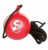 Synthetic Cricket Practice Ball -2 Pack us - $31.54