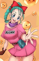 Bulma Poster | Framed Art | Anime | Dragon Balls | DBZ | NEW | USA - £14.94 GBP