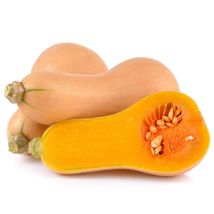 Butternut Squash - Seeds - Organic - Non Gmo - Heirloom Seeds – Vegetabl... - £3.94 GBP