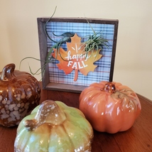 Fall Decor Plaque, live air plants, Wooden shadow box, autumn leaf "Happy Fall" image 3