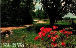 Scenic Country Road Greetings Janesville Oasis Wisconsin WI Chrome Postc... - £2.10 GBP