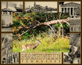 Nashville Tennessee Montage Laser Engraved Wood Picture Frame (5 x 7) - £24.84 GBP