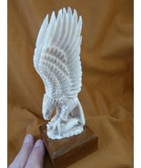 EAG-w54 large white Eagle wings up w/ fish shed ANTLER figurine Bali det... - $429.72 CAD