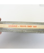 Animals Ways They Eat 1956 Documentary 16mm Short Film Encyclopedia Brit... - $237.82 MXN