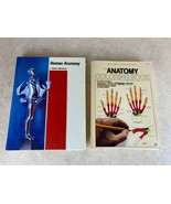 Human Anatomy by J Robert McClintic &amp; The Anatomy Coloring Book by Wynn ... - £5.52 GBP