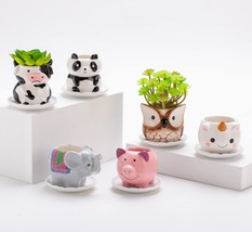 Ceramic Animal Succulent Planter Pots With Drainage And Melamine, Lovely Animals - £30.66 GBP