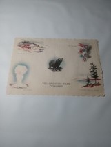 1960s Yellowstone Park Company Placemat 5A - £26.07 GBP