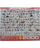World of Cats 39.25&quot; x 26.625&quot; Jigsaw Puzzle by EuroGraphics ~ 2000 pcs ... - $17.81