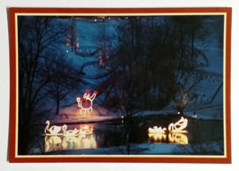 Festival of Lights Christmas Display Snowman Wheeling West Virginia WV Postcard - £6.27 GBP