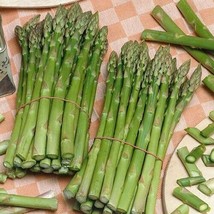 100+ Asparagus Seeds- Uc 157 F2 -- Organic - Non Gmo ---- Fresh - £2.86 GBP