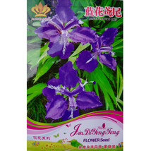 Rhizoma Iridis Orris Root Blue Flowers Seeds 30 Seeds Pack Garden Beauti... - $11.86