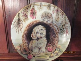 1989 Royal Worcester Mixed Company &quot;Whats Up&quot; By Pam Cooper 8 1/2 Inch Plate - £10.95 GBP