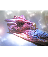Haunted DRAGON PEN 33X WISHING COMPOSE YOUR WISH MAGICK WITCH Cassia4 - $137.77