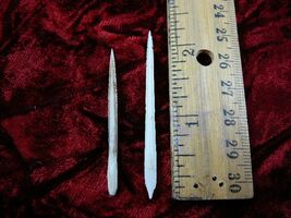 (f352-31) small 1-1/2&quot; Stingray Ray barbs modern Himantura chaophraya ba... - €12,77 EUR