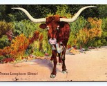 Texas Longhorn Steer Cow Bovine Moo Moocow TX UNP Linen Postcard D17 - £3.22 GBP