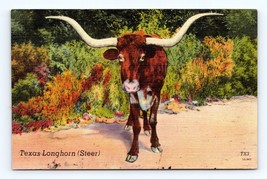 Texas Longhorn Steer Cow Bovine Moo Moocow TX UNP Linen Postcard D17 - £3.22 GBP
