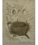 Wall Art Print Nest and Egg Bird 47x65 65x47 Light Gray Linen Unframed - £565.58 GBP