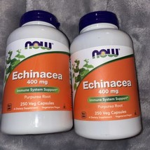 NOW Foods Echinacea Capsules Purpurea Root 400 mg 250 X2 Count EX 8/25 Lot Pack - £15.71 GBP