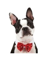 PetEdge Aria Canine Royale Bowtie - Red Sequin (Medium) - $175.61 MXN