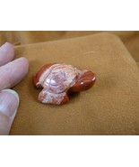 Y-TUR-SE-563) Red Rainbow Jasper SEA TURTLE gemstone figurine stone love... - £14.84 GBP