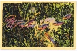 Florida Postcard Silver Springs Fish Kingdom Glass Bottom Boat - £1.70 GBP