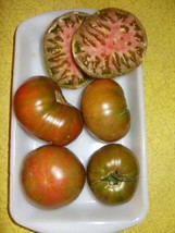 50 Chocolate Stripes Tomato Brown With Green Lycopersicon Fruit Vegetable Seeds - £6.24 GBP