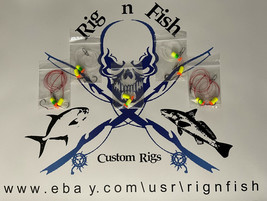 5 - Surf Fishing Rigs, &quot;The Package&quot;, Pompano, Whitings, Sea Bass, Snapp... - £11.70 GBP