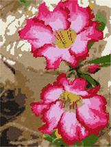 Pepita Needlepoint kit: Adenium Desert Flower, 9&quot; x 12&quot; - $86.00+