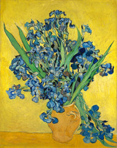 Oil ainting art Irises by Vincent van Gogh Giclee Printed on canvas - $8.59+