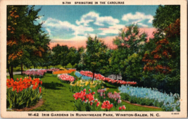 Springtime in the Carolinas  Vintage Postcard   Runnymead Park NC (B13) - £4.36 GBP