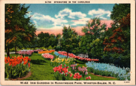 Springtime in the Carolinas  Vintage Postcard   Runnymead Park NC (B13) - £4.22 GBP